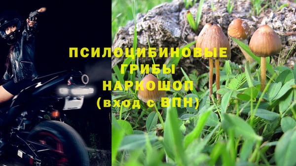 мдпв Козельск