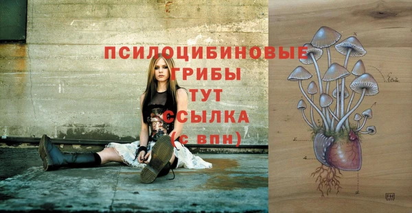 мяу мяу мука Киреевск