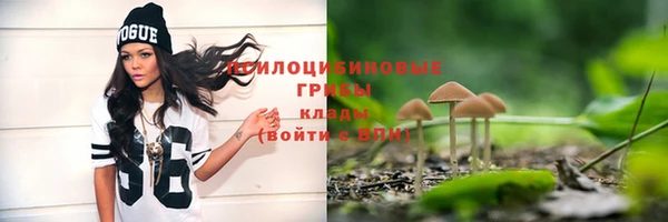мяу мяу мука Киреевск