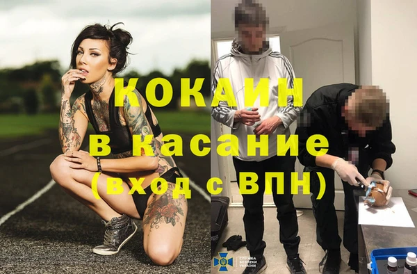 мяу мяу мука Киреевск