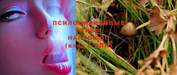 apvp Кинешма